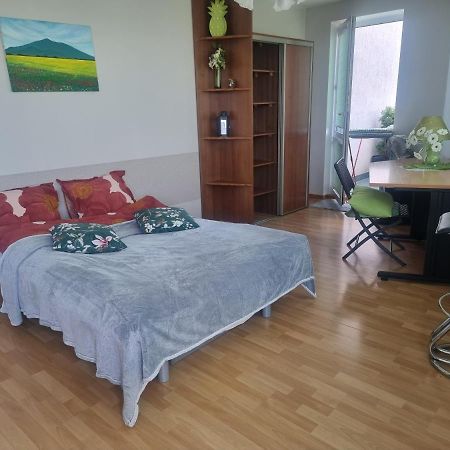 Sloneczny Apartamencik Apartman Wrocław Kültér fotó